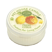 One Fur All Scented Candle Mini - Fresh Citrus